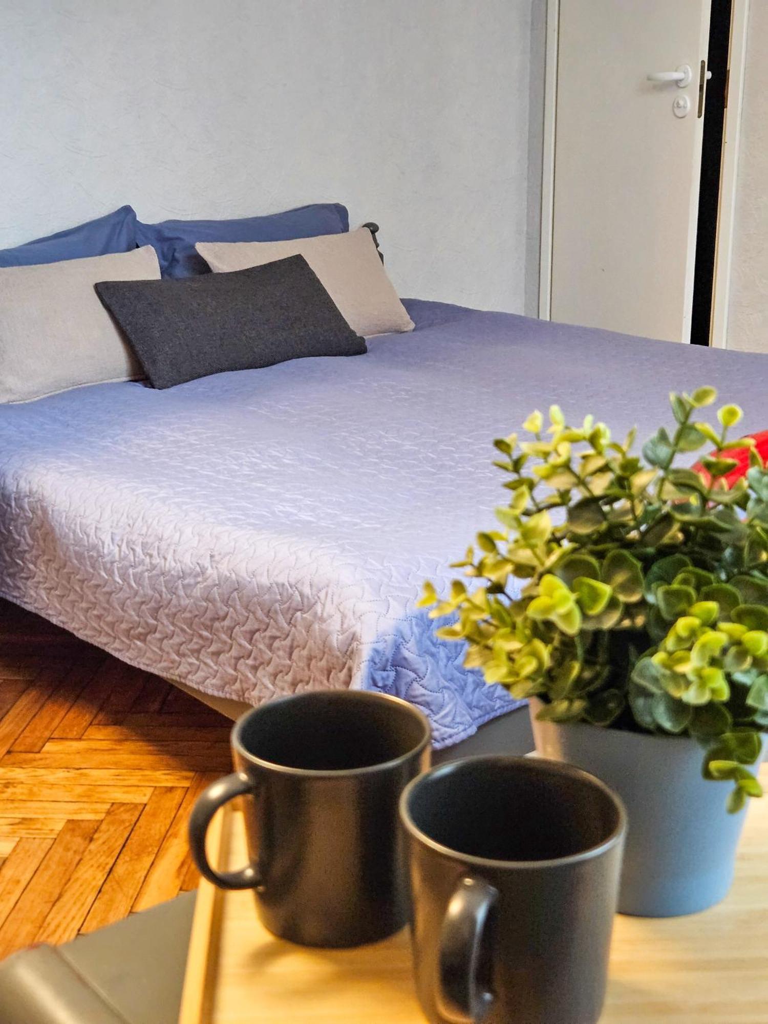 Muzeja Apartamenti リガ エクステリア 写真