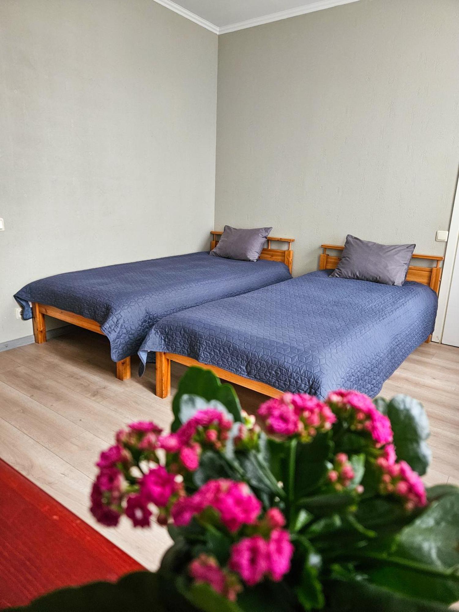 Muzeja Apartamenti リガ エクステリア 写真